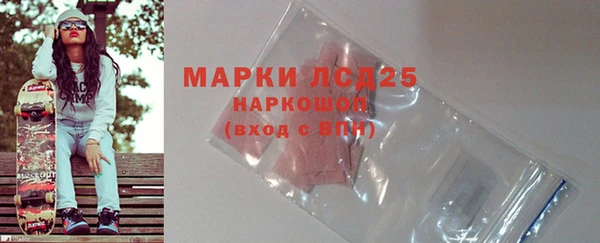 спиды Новодвинск