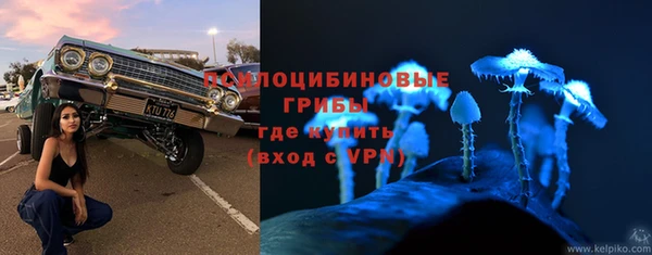 спиды Новодвинск