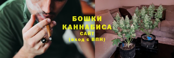 шишки Новокубанск