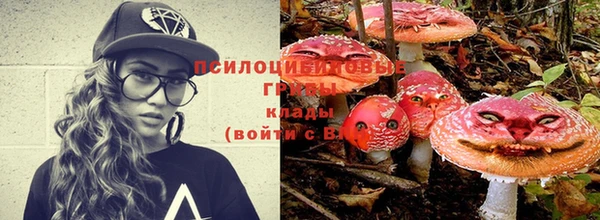 спиды Новодвинск