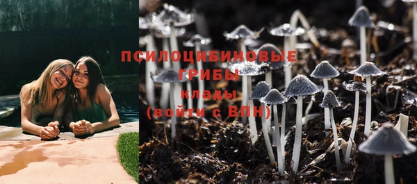 apvp Новозыбков