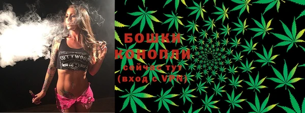 спиды Новодвинск