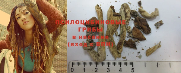 прущий лед Болхов