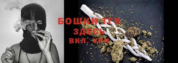спиды Новодвинск