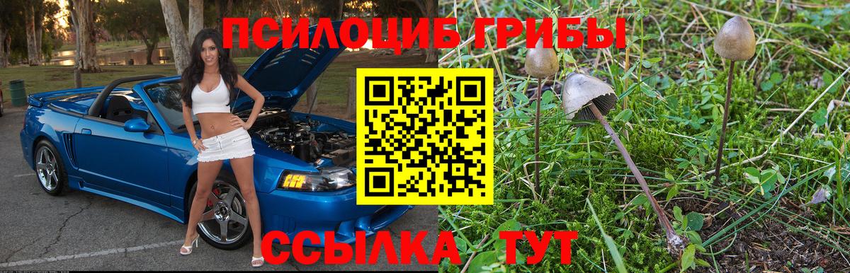 Псилоцибиновые грибы ЛСД  Лесозаводск 