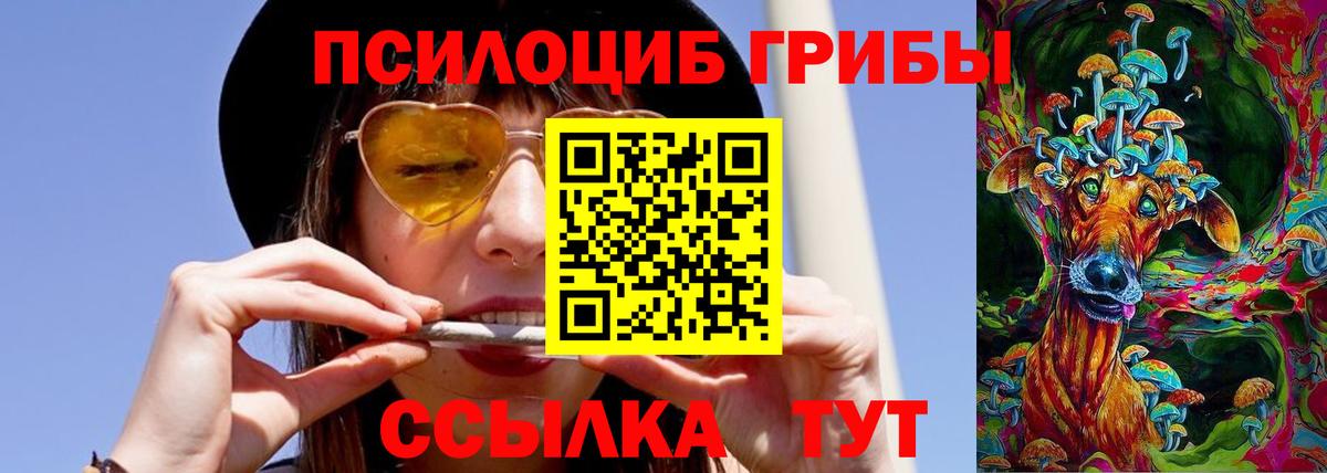 Псилоцибиновые грибы прущие грибы Лесозаводск