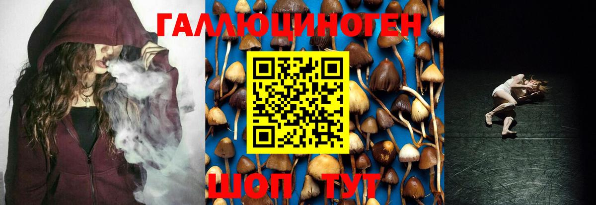 Галлюциногенные грибы Psilocybine cubensis  Галлюциногенные грибы Psilocybine cubensis  Лесозаводск  даркнет сайт  Вход с VPN 