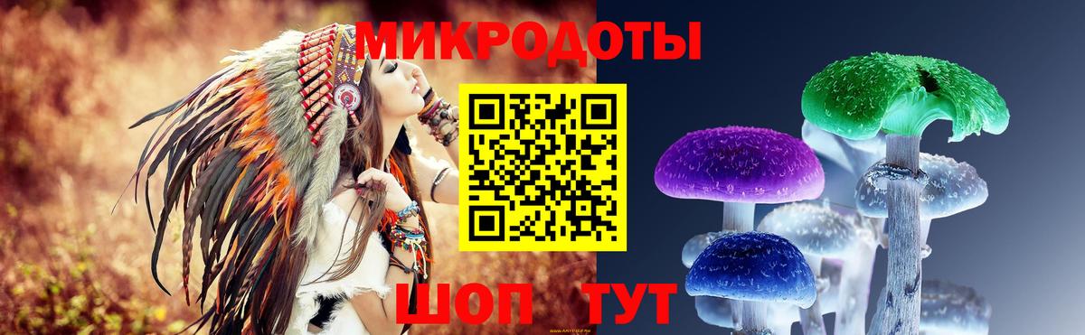 Псилоцибиновые грибы GOLDEN TEACHER Лесозаводск